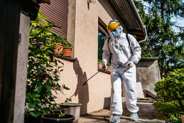Best Affordable Pest Control Services  in Manitou Beach Devils Lake, MI