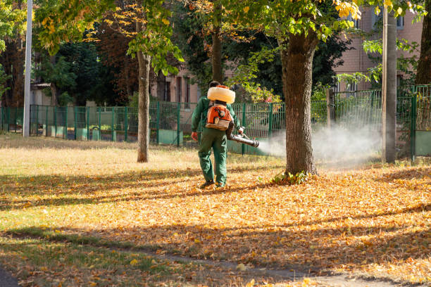Best Mosquito Control Services  in Manitou Beach Devils Lake, MI