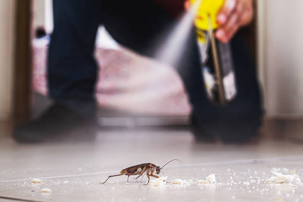 Best Affordable Pest Control Services  in Manitou Beach Devils Lake, MI