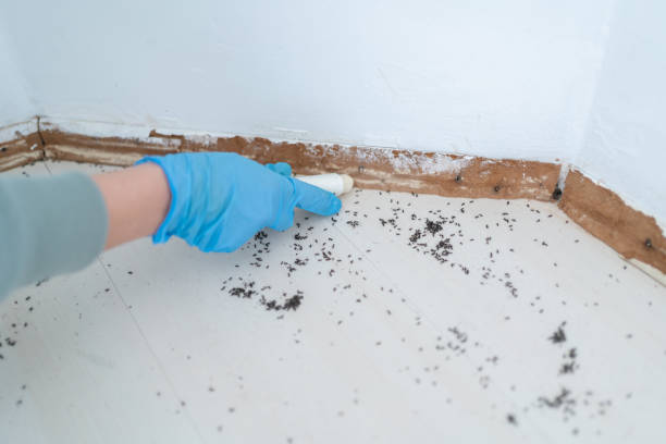 Best Bed Bug Extermination  in Manitou Beach Devils Lake, MI